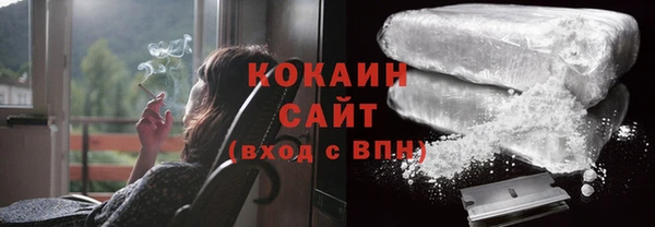 соль ск Кукмор