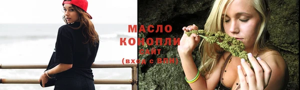 гидра Кулебаки