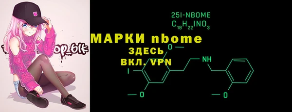 соль ск Кукмор