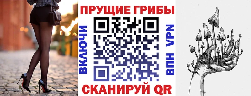 купить   Болотное  Галлюциногенные грибы GOLDEN TEACHER 